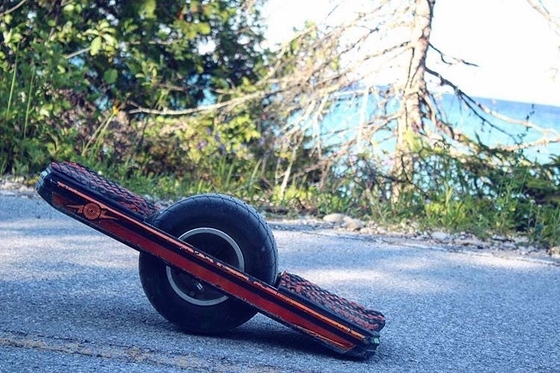 10.5Ah 700W Één Wiel Handskateboard met Wacht Rail